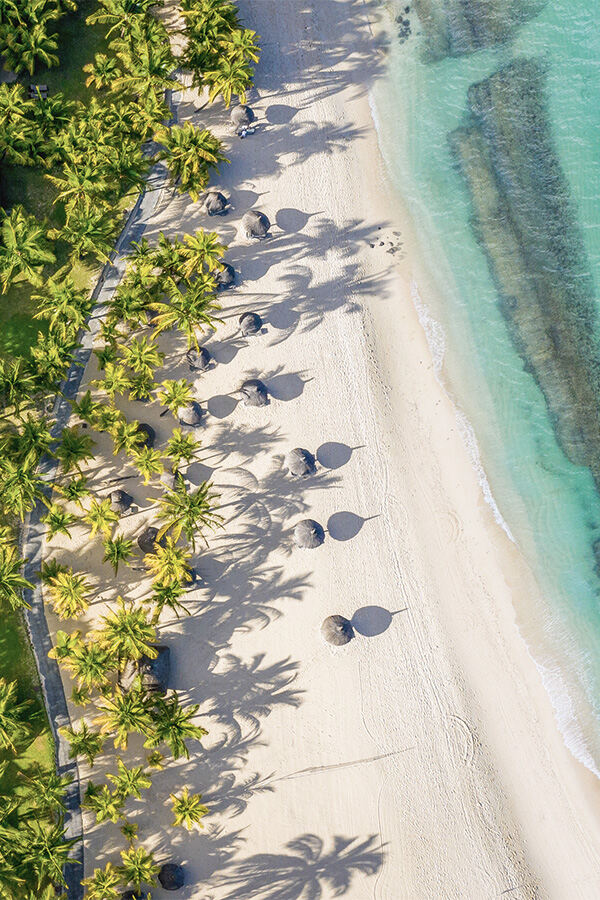 Dinarobin_Beachcomber_Cover_3