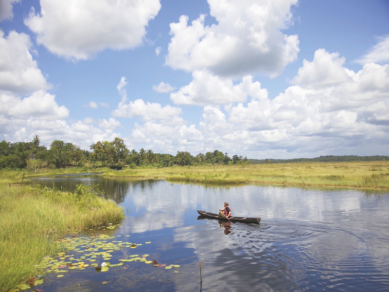 guyana-80836 guyana-80836