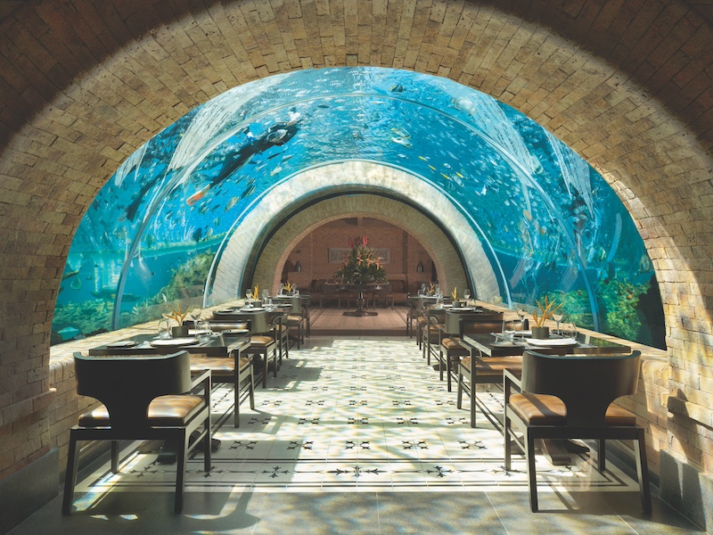 Apurva Kempinski_Koral Restaurant_Koral Tunnel (1) Apurva Kempinski_Koral Restaurant_Koral Tunnel (1)