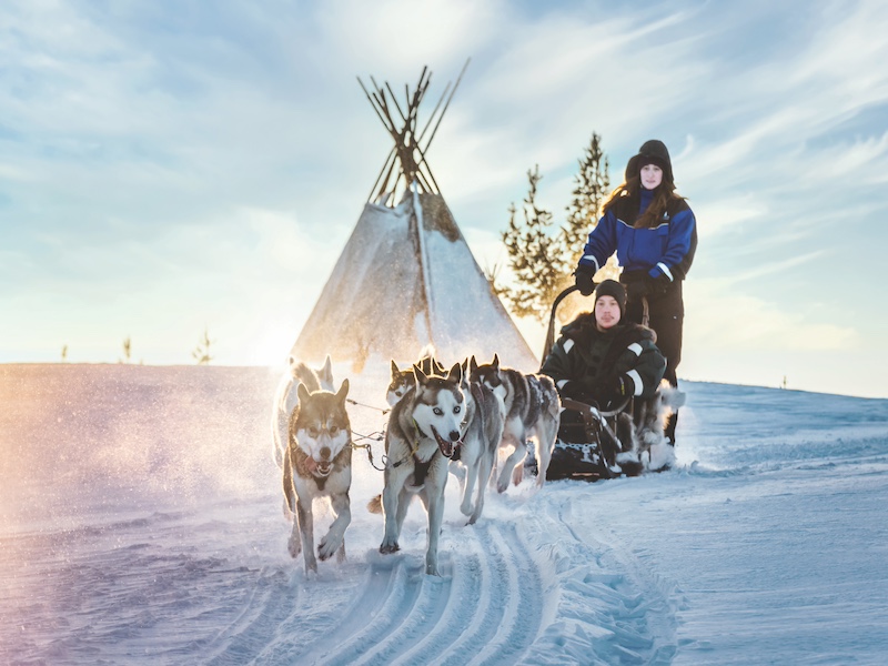Husky ride (1) Husky ride (1)