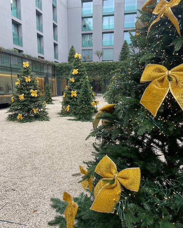 HLC Christmas (2) HLC Christmas (2)