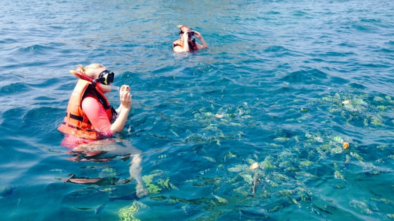 snorkel snorkel