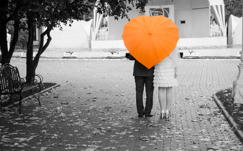 umbrella 222 umbrella 222