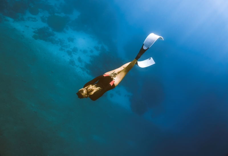 Dive resized Dive resized