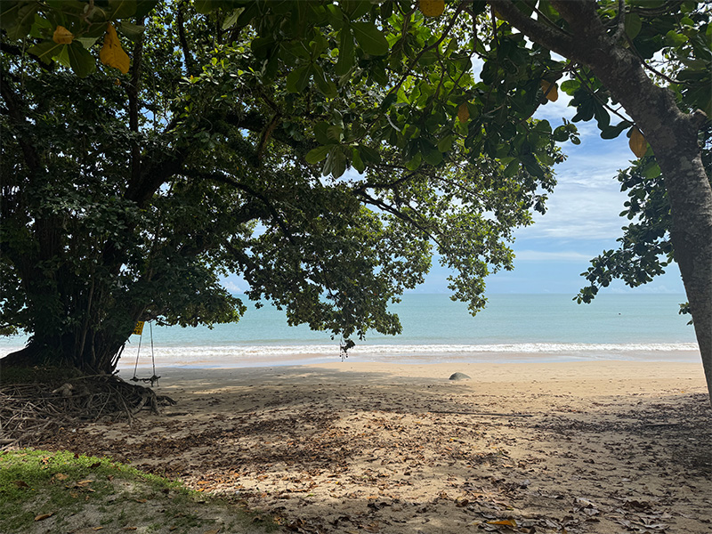 Khoa Lak Beach THE SPOT