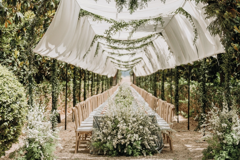 Image 2 resized Image 2 resized