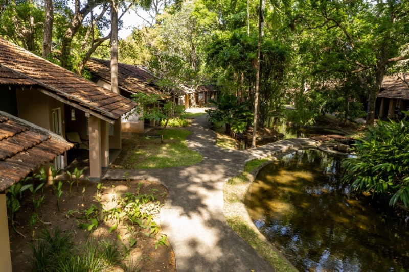 Image 4 resized Image 4 resized