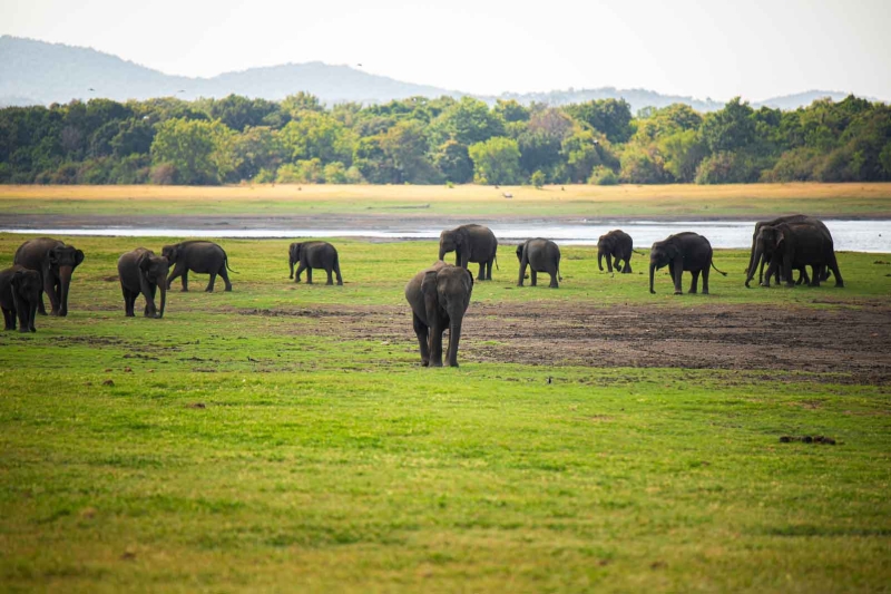 Image 5 resized Image 5 resized