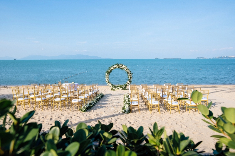 Image 5 resized Image 5 resized