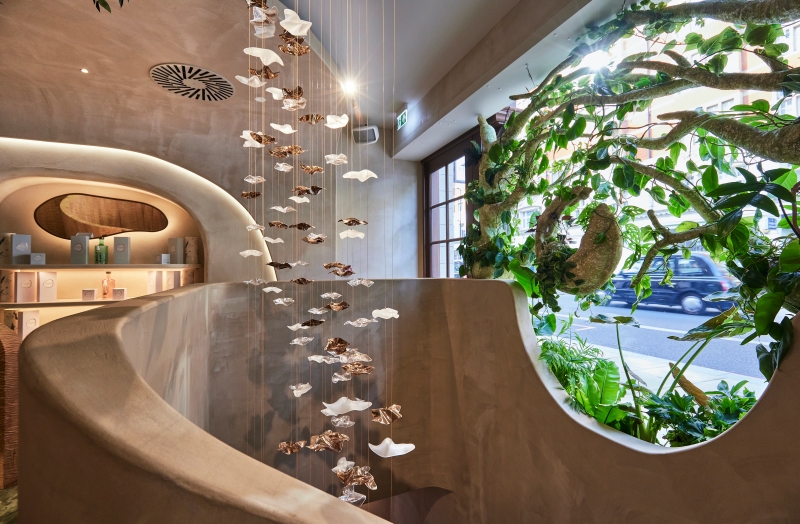 Image 2 resized Image 2 resized