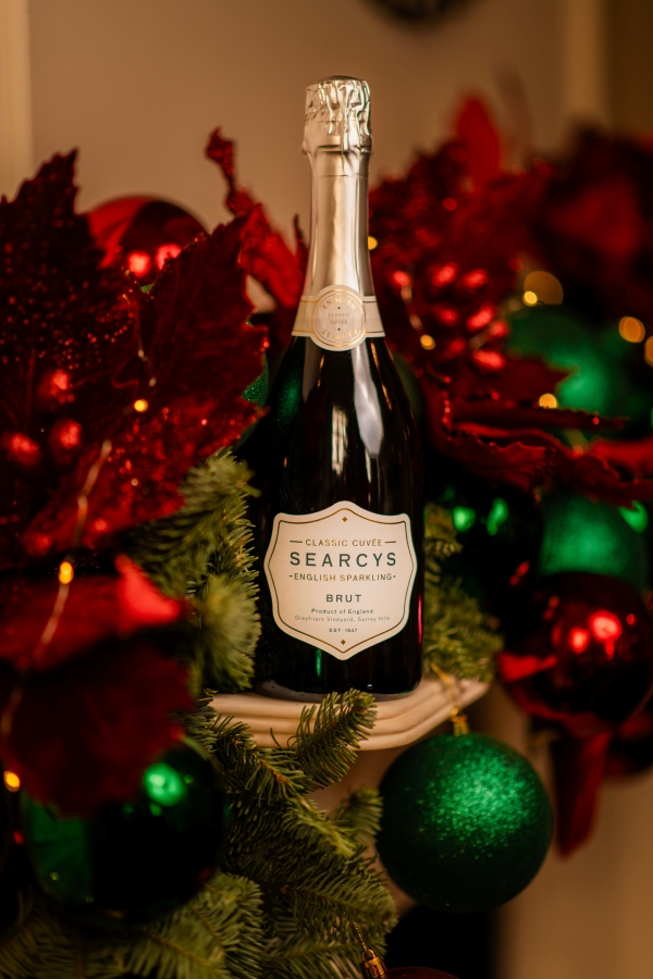 New P image 2 resized