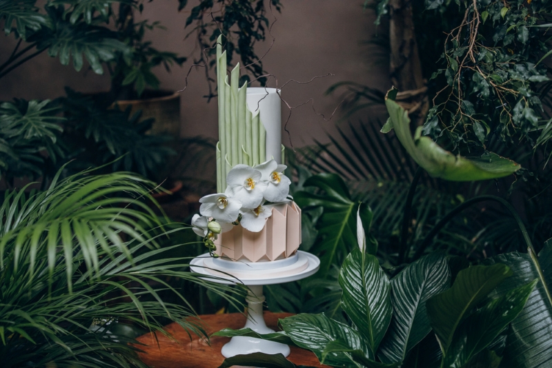 Cake rezized Cake rezized