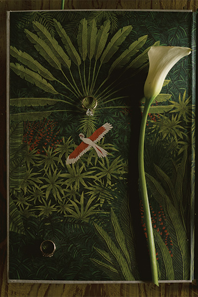 EvanandMarcF-15 EvanandMarcF-15