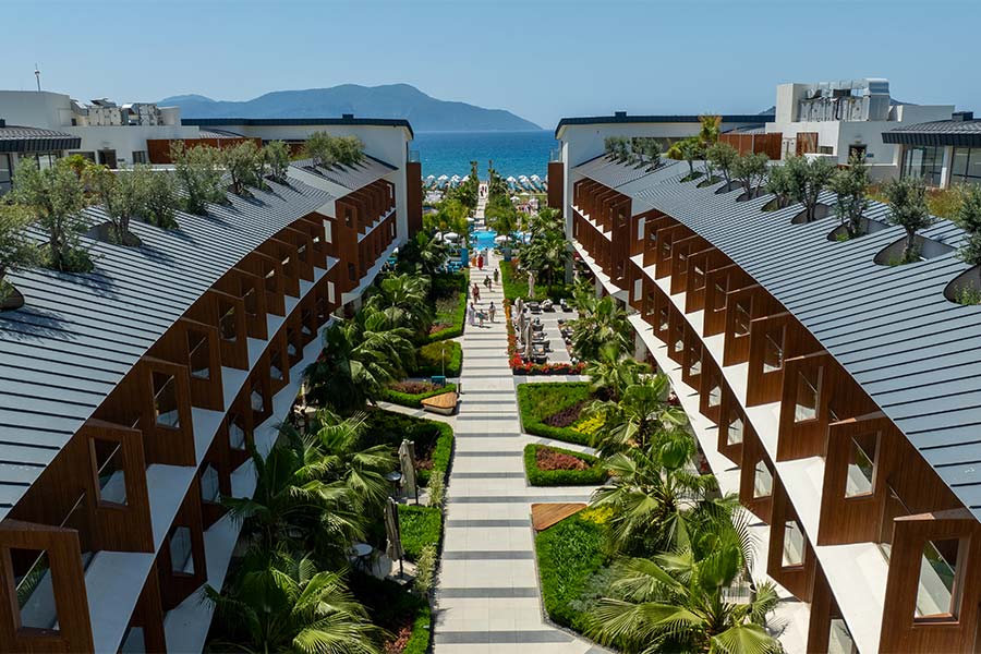 Overview-