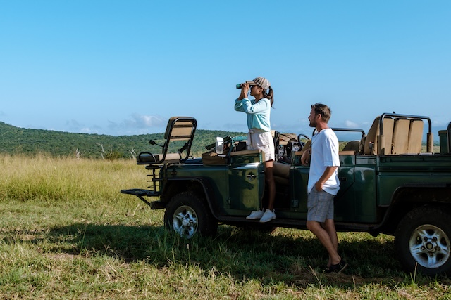 tourists,observe,wildlife,in,kruger,national,park,,south,africa,,on tourists,observe,wildlife,in,kruger,national,park,,south,africa,,on